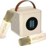 Bonaok Mini Karaoke Machine with 2 Wireless Microphone